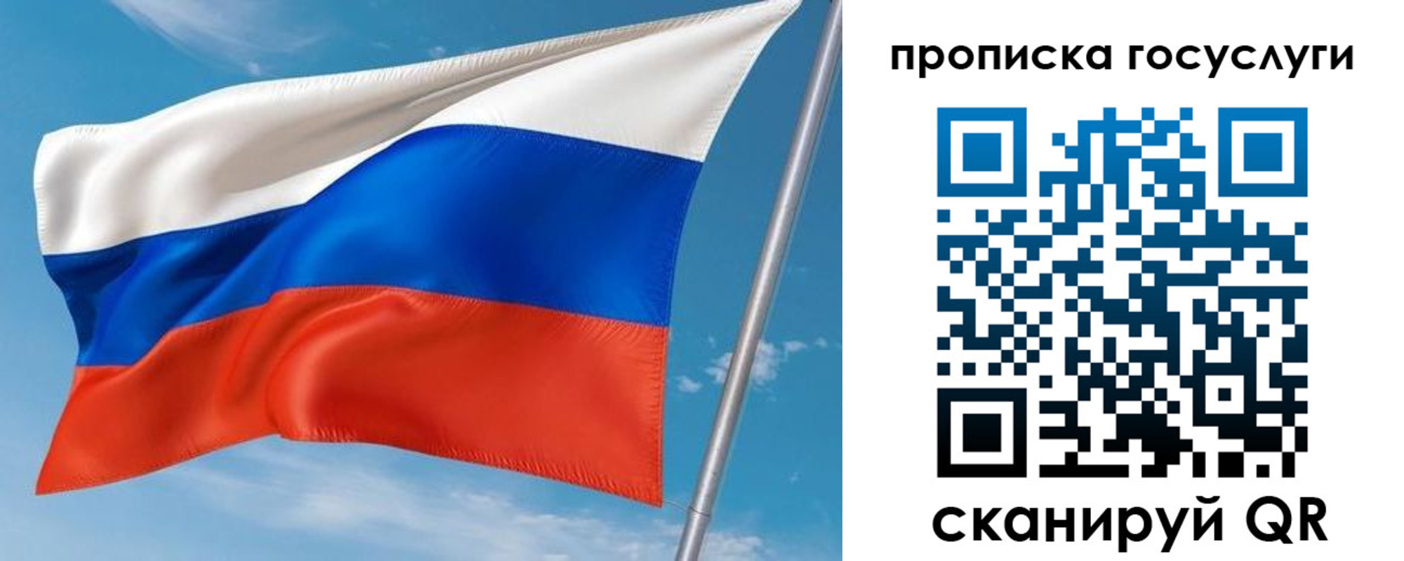 прописка в Волосово