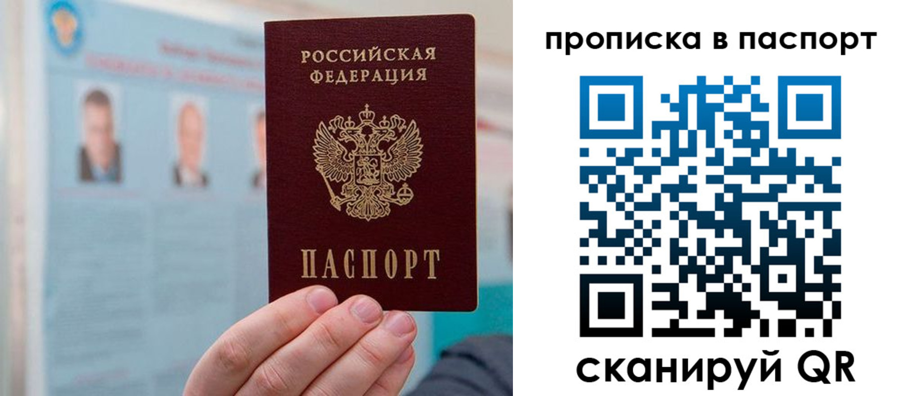 прописка гарантия в Волосово